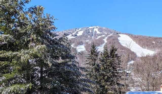 New! Mt Snow Condo. Walk to lifts, pool, Hot tub
