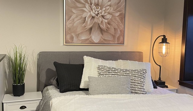 NEW, NEW, NEW! Wabasha downtown studio113 Pembroke Ave Unit #102