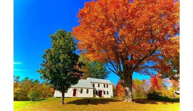 *NEW* Newly Renovated Spacious 1700s Historic Farmhouse