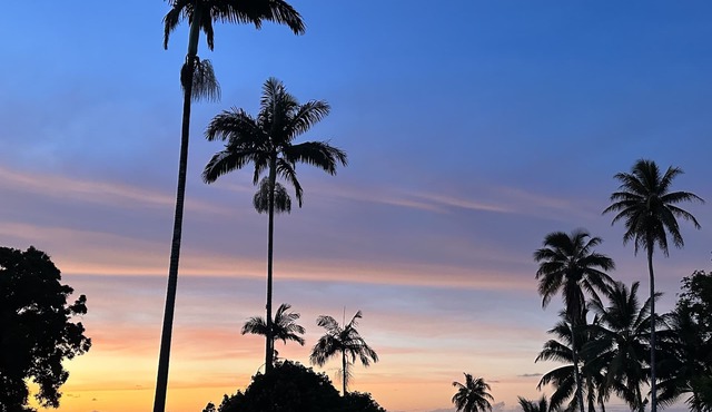 NEW! Ocean and stream views on the beautiful Hamakua Coast.