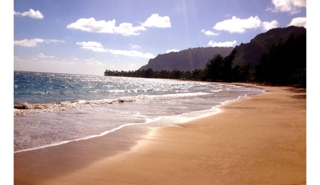 New Oceanfront! Fully equipped 1bed/1bath apt on the beach in Punaluu