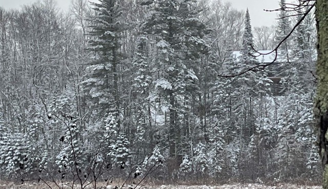 NEW! Ole Winter Haven in Chequamegan National Forest!