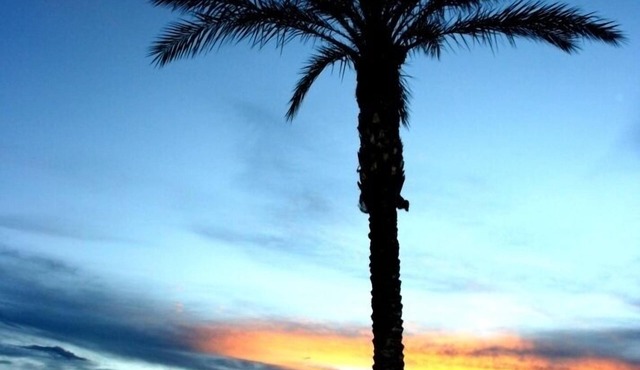 NEW Opening NOW! 3 HEATED Pools Spa's GOLF Palms Mtns & Sunsets.Welcome!