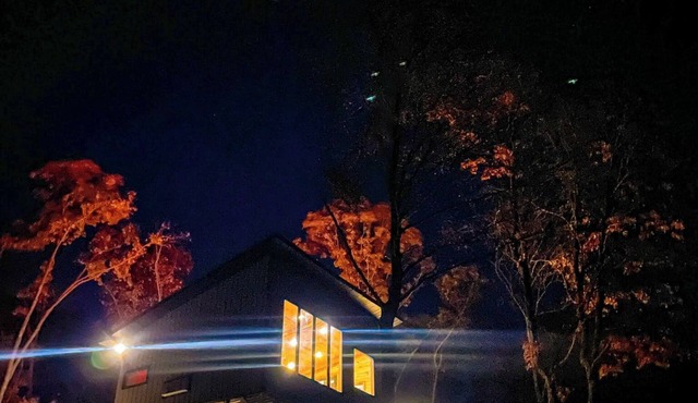 NEW! Out On A Limb Treehouse