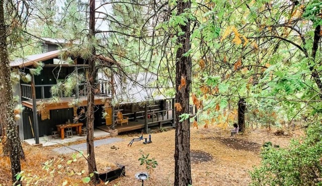 NEW! Peaceful Cabin in the Woods