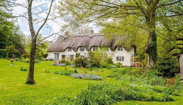 NEW Pet & Family Friendly Luxury Till Cottage & Riverside Gardens nr Stonehenge