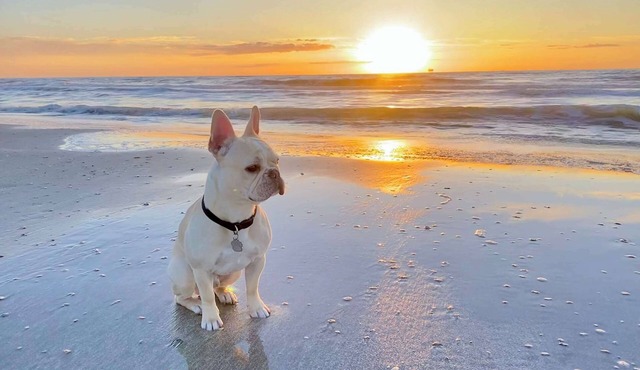 New! Pet & Family Friendly*On the Bay