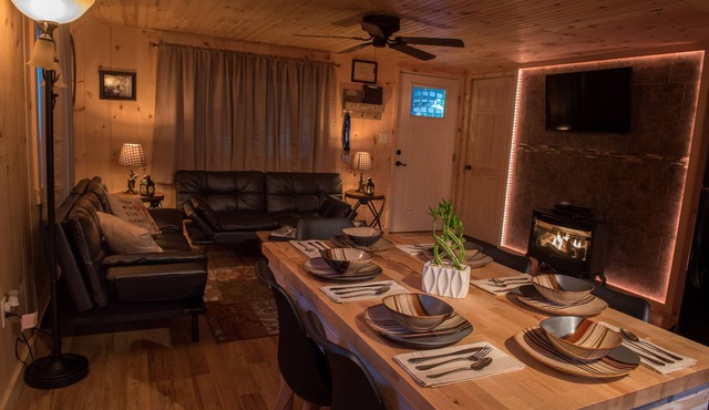 New Pocono Mountain Cabin & NEW 7 Person Hot tub & Playground new Gaming system!