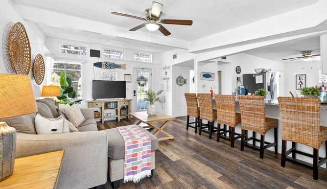 New Port Richey Downtown 🌴