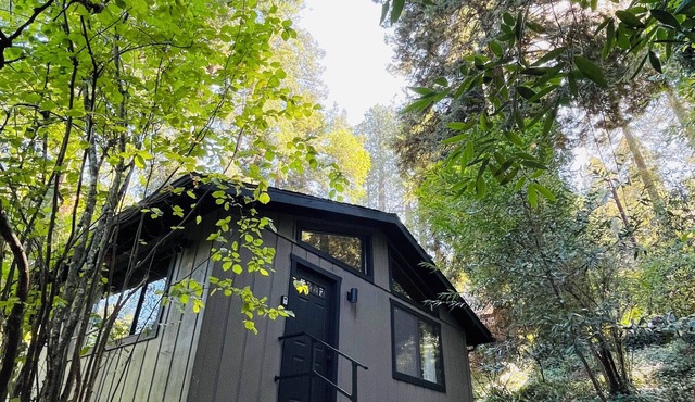 NEW - Relaxing Retreat with Hot Tub in the Woods