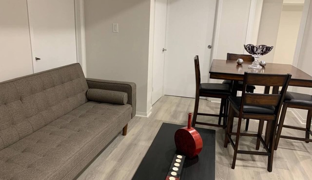 New Renovated 1 bedroom apartment basement