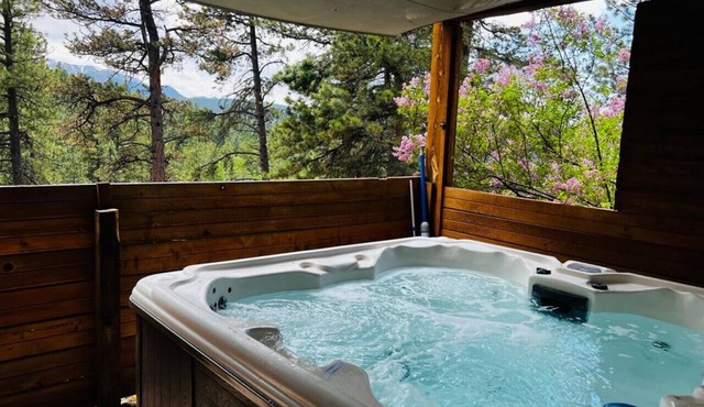 NEW Sauna & Private Hot Tub Overlooking Pikes Peak