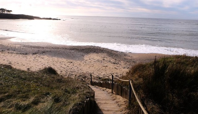 NEW! SEA VIEW with direct beach access at 110 m