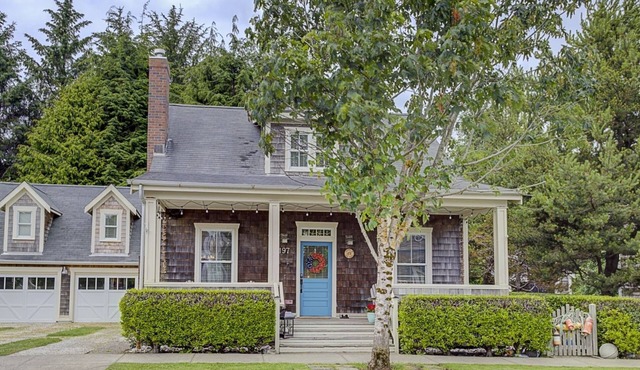 *NEW* Seabrook's Sand in the Toes: Dog Friendly!