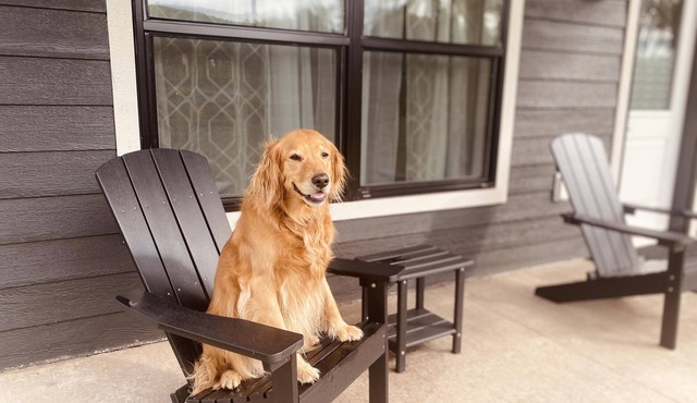 New Shoreline Home | Waterfront | Sauna | Views | Dogs | Trail Access