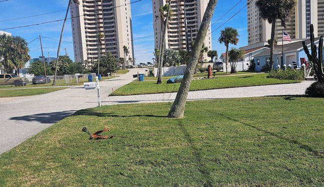 NEW! Snowbird Special! Walk to Beach! 3 BR in Daytona Beach Shores.Pet friendly!