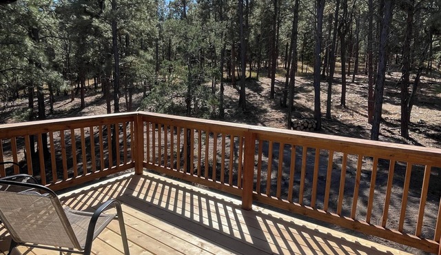 New Solar Powered Home on Cozy Pine Ridge