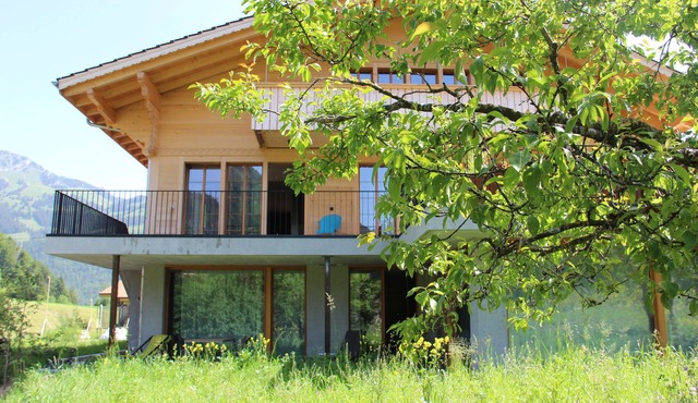new spacious apartment with sauna apartment Chalet Park * s,
