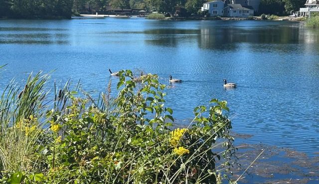 New & spacious Lake front 1 bedroom apartment located on Lake Arrowhead.