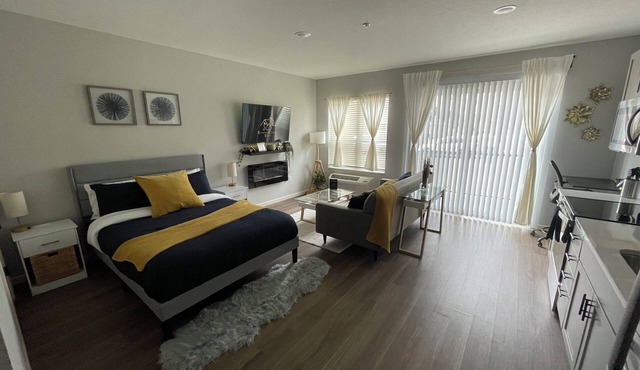 New Spacious Studio Apartment