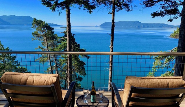 NEW! STUNNING 350 FT OCEANFRONT! Sauna Gym Theater Firepit Piano 18 Ft Ceilings