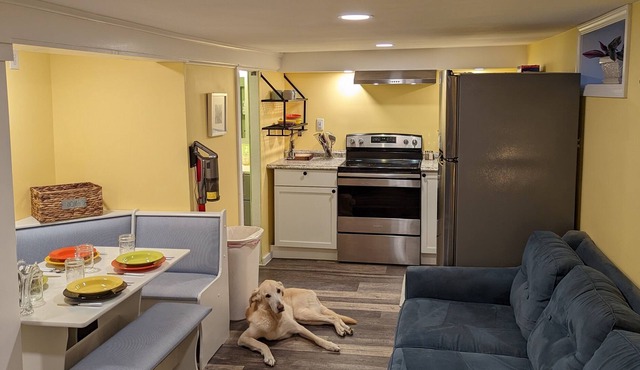 NEW! The Birds Nest - No Clean Fee, Pets, WIFI, Coffee & Tea, TV