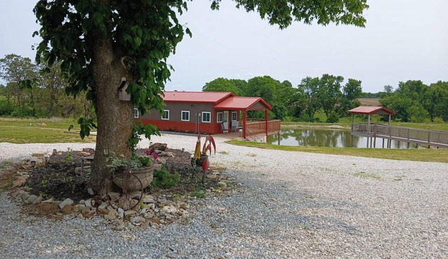 New tiny home in an incredible private setting among all nature has to offer.