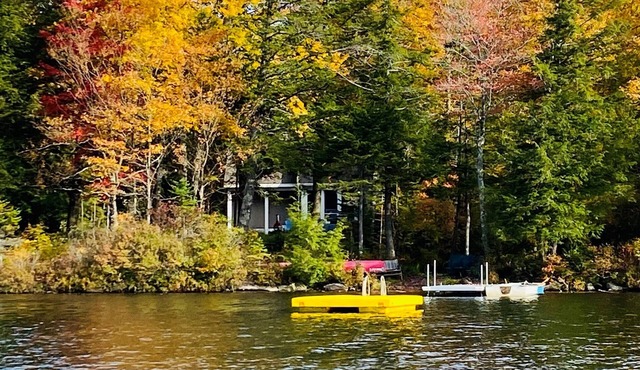 New to market a 3-4 bedroom, 3 bath, home on picturesque Lake Armington