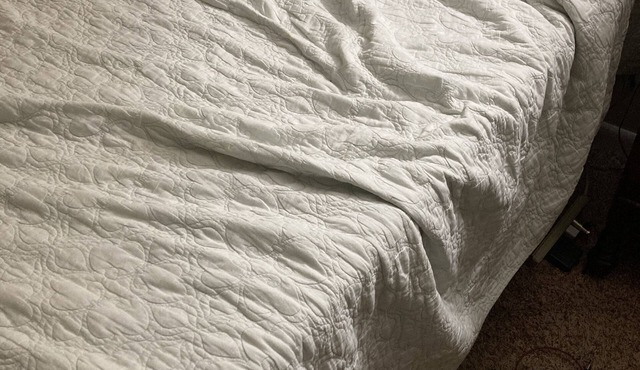 New to the area? Stop by and see the most recent bachelor pad on the scene