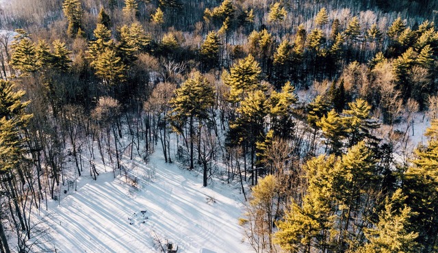 NEW to VRBO! Secluded White Mtns Home Hot Tub, EV, Pets Near Kanc Hwy, Sleeps 10