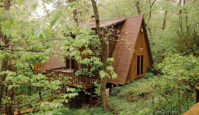 NEW! Treehouse in The Ozarks w/Hot Tub