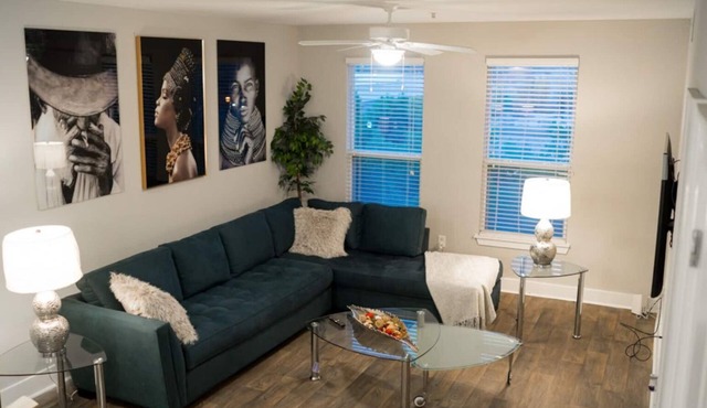 New Upscale Luxurious Apartment (BuckHead Area)