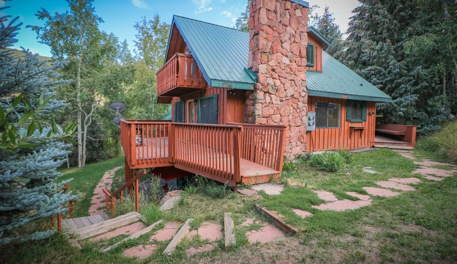 **NEW** Vail Cabin, Sleeps 8 Great Location, Smores, Park