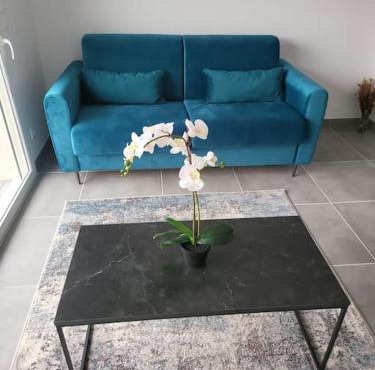 New villa 5mn from the beach-Pyrenees view