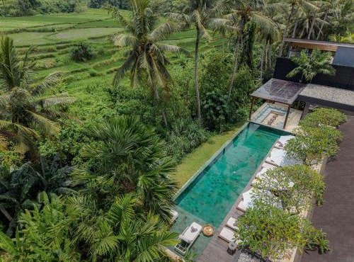 New Villa Palmito by Optimum Bali Sanctuary with rice field views Ubud