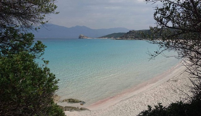 New villa with garden area and modern fitted kitchen