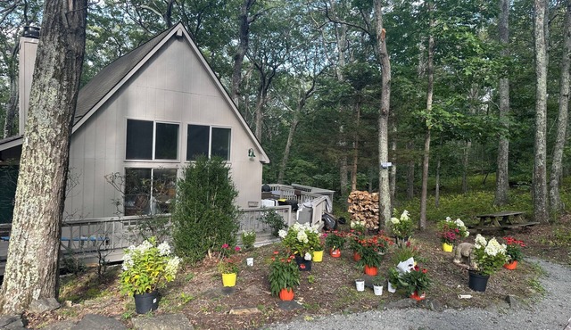 NEW Warren’s Woods! Lovely 5BD, 3BA Wintergreen home. Hot Tub! NEW SPRING RATES!