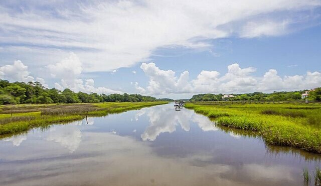 NEW Waterfront, private dock, fully updated Johns Island home