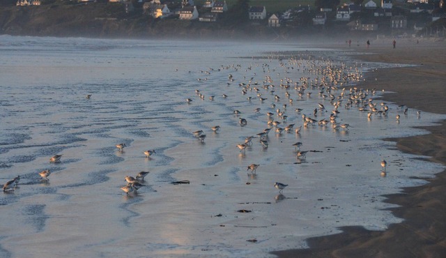 New waterfront rental with sea view