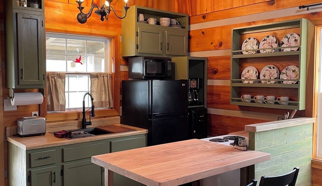 New! Whispering Waters Cabin on the French Broad River