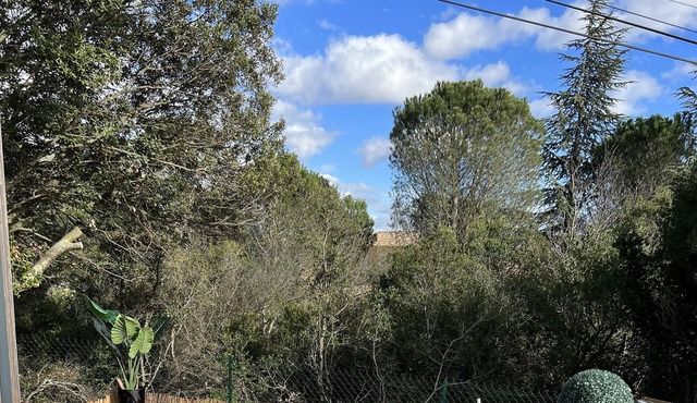 New wooden cottage 10 minutes from the Ardèche gorges