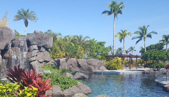 New Year's Eve at Hilton Grand Vacation Resort - Kings' Land - Week 52 of Year