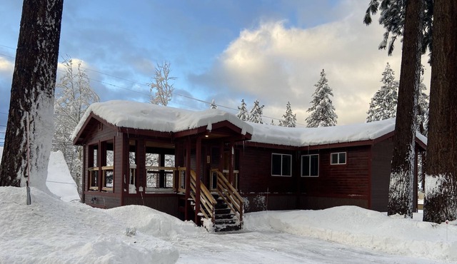 Newer cabin w/king bed, jetted tub&5G. Walk/bike to village-lake, food & trails.