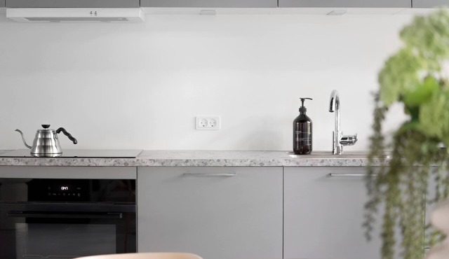 Newly build 3BR XL Apartment - Private Courtyard
