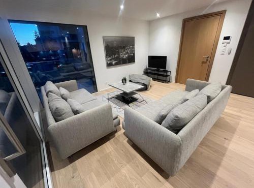 Newly built 2-Bed Flat with parking in Pully