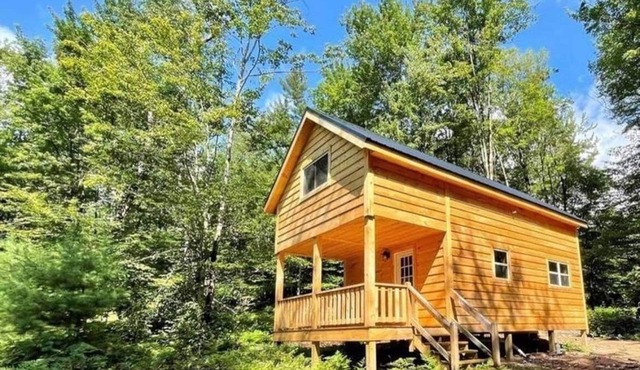 Newly built Cabin in the woods on a 5 acres of land