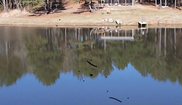 Newly Built Cabin with a 2.5 acre Lake on 120 Acres of Private Land