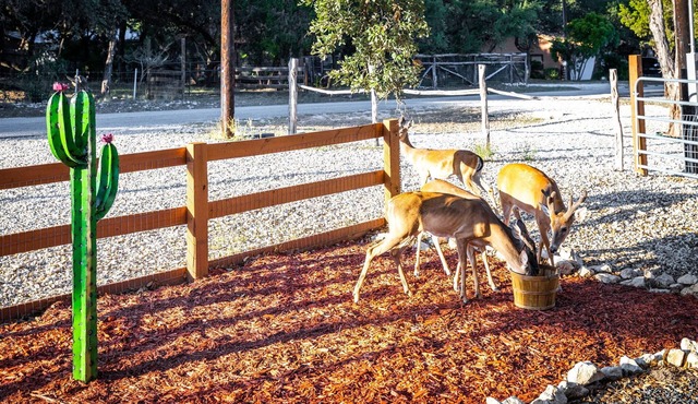 Newly Built Deer Retreat in the Texas Hill Country