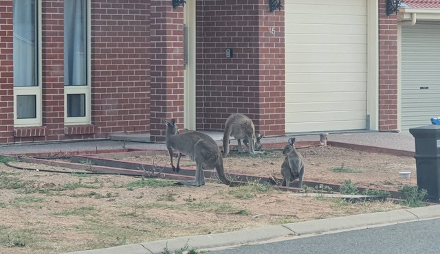 Newly built house in the middle of the Links Lady Bay Golf Course