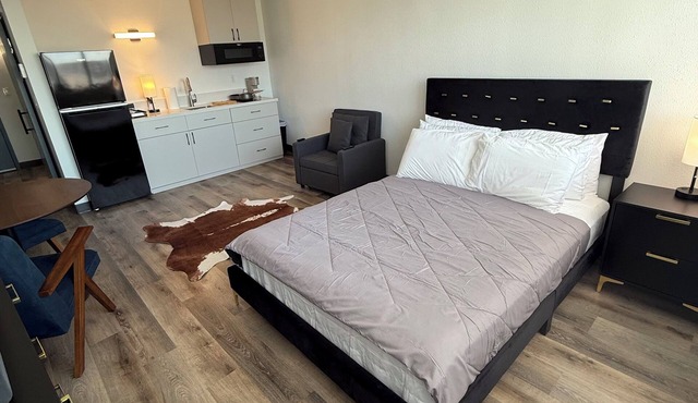 NEWLY BUILT Luxury Studio & Amenities @ Levy Park